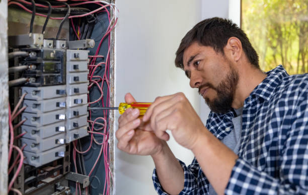 Best Generator Installation Services  in St Jaco, IL
